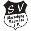 SG Msbg.99/Meuschau