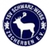 TSV  Schwarz-Weiß Zscherben II