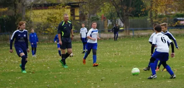 03.11.2018 SV Meuschau vs. Turbine Halle